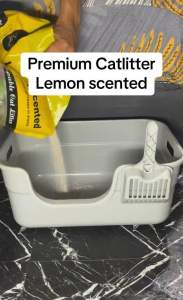 MEOW BUDDY CAT LITTER 10L FAST CLUMPING FAST ABSORPTION MINIMAL DUST