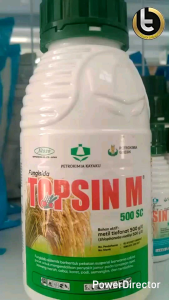 Fungisida TOPSIN 500 SC (500ml) obati penyakit blas bercak daun patah leher dll