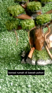 bonsai rumah di bawah pohon daun sintetis aquarium aquascape