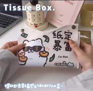 Readystock现货🇲🇾 卡皮巴拉收纳纸巾盒ins风高颜值通用 capybara ins style feather tissue box