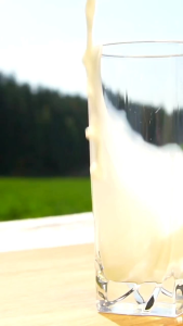 Susu GoMilku Gold Sr12 susu kambing Etawa untuk kesehatan tulang dan sendi