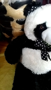 BONEKA TEDDY TEDY TEDI BEAR BERUANG PANDA RUMPUT SIZE L BESAR MAINAN KARAKTER KARTUN ANIMASI CUTE CANTIK BAHAN RASFUR LEMBUT DAN HALUS SET HADIAH ULTAH KADO COWOK CEWEK DEWASA DAN ANAK MAINAN