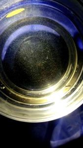 พารามีเซี่ยมอาหารอนุบาลลูกปลากัดลูกปลารอดเยอะ