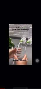 香草蔬菜保鲜盒防压坏环保保鲜器创意香菜保鲜杯创意盆栽