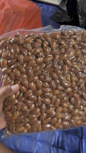 Kacang Almond Panggang\\Kacang Almond Kupas Panggang Roasted Snack Food\\Cemilan Makanan
