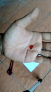 Batu Mustika bijih merah delima fosil biji buah delima merah