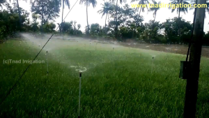 SPRINKLER BUTTERFLY 1/2 3/4 INCH DRAT DALAM + SOK DRAT LUAR SPRINKLER KUPU KUPU ALAT SIRAM TAMAN KEBUN PERTANIAN ROTARY NOZZLE