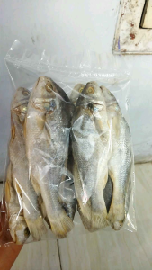 ikan asin sileman gerabah (ikan kering)