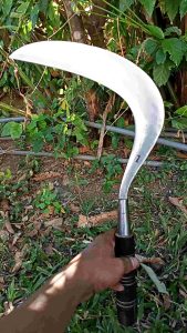 Sabit Rumput Ranting Tebu Jagung dll Buatan Madura Cap Z Besar