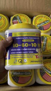 NPK 10-60-10 Phân bón siêu kích hoa phân hoá mầm hoa ra bông rộ đều cây ăn trái - Hũ 565g