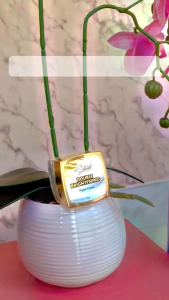 Double Brightening Night Cream