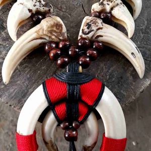 Kalung Sepasang Taring Variasi Kuku Macan Kalung Dayak Kalimantan Kalung Etnik Taring