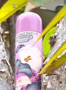 AnaisoAnaiso deodorant parfume cacharel 150ml spray