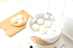 Kain Kukus Makanan Pangsit Dimsum Anti Lengket 1AS20