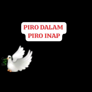 Suara Panggil Walet Inap Papua - Lagu Walet Super Unik Suara Dalam Walet