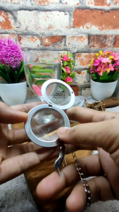 Saringan Teh Celup - Rempah - Infuser