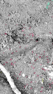 ผลิตภัณณ์กำจัดมดคนไฟ นำ้ส้มความไม่ระวัง กำจัดมดคันไฟ ไล่แมลง บริษัท นอกเหนือเพื่อความมั่นใจ