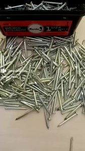 Paku Beton Marabu Putih Galvanis: Harga Per Box & Berbagai Ukuran