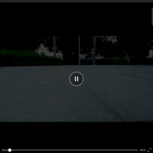 รองเท้าสเก็ต 2 ล้อ/ รองเท้ามีล้อ/ รองเท้า Heelys/ รองเท้า Roller Heelys892