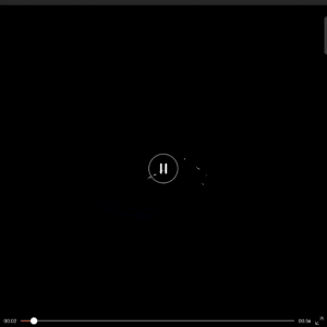 ใหม่ล่าสุด Heelys 28-40 รองเท้าสเก็ต 1 ล้อ Roller shoe 2 ล้อมีของ