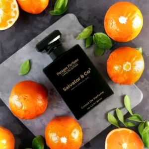 Parfume SALVATOR & CO⁵ uk | 50 ml . by Paragon Fragrance Parfume Pria Ninggalin jejak . cocok untuk Dailymu
