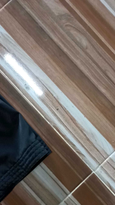 Sakral Bordir Pagar Nusa motif Macan