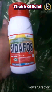 Herbisida SIDAFOS 480 SL (250ml) Basmi segala Rumput & Gulma
