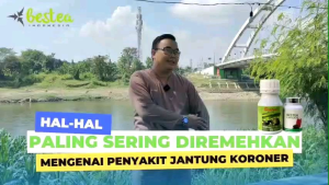 BESTEA 40gr Teh Hitam untuk Diabetes, Kolesterol & Hipertensi