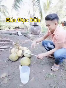 Búa dục dừa lấy được ba vớ ra ngoài