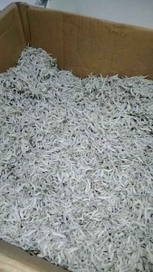 TERINASI Medan 100 gram/TERINASI PREMIUM/ikan asin