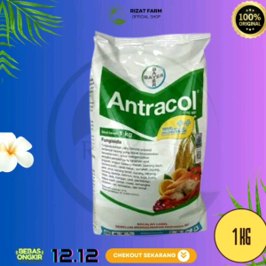 Fungisida Antracol 70WP Bahan Aktif Propineb