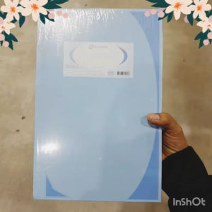 Elephant (ตราช้าง) สมุดบันทึกมุมมัน 5/100 ขนาด 21x32cm. หนา 70g. จำนวน 100 แผ่น สมุดบัญชีมีขอบปกแข็ง (1 แพ็ค/2เล่ม)คละสี