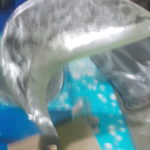 Arit Sabit Super Tajam Bazza Murni Persi Kidal