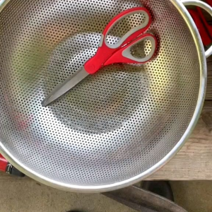 (KEMASAN PREMIUM) BIJI/BENIH TANAMAN SHISO PERILLA