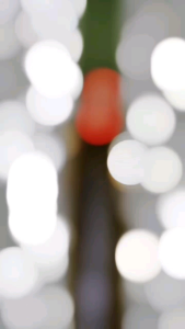 Gamis Dara Set Hijab Df Collection: Desain Elegan & Bahan Nyaman