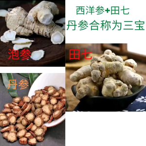 Ginseng AmerikaTianqiSalvia miltiorrhiza/田七泡参丹参
