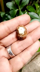 Batu akik Bajul Putih