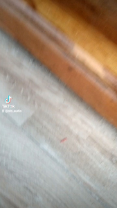 BỘ MẠCH CÔNG SUẤT VÀ BLUTOOTH LG 100W DÀNH CHO ANH EM ĐAM MÊ ĐỘ CHẾ ĐỒ CHƠI NGUỒN ĐIỆN 110V~240V DÙNG VÔ TƯ ( GIÁ 1 CÁI) Bảo Hành 1 Tháng - Lazada