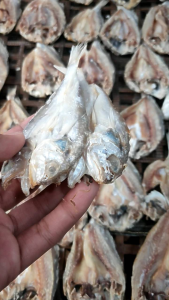 IKAN ASIN BELAH CAMPURAN / CAMPUR CAMPUR TEBAL MURAH ( IKAN TIDAK SEJENIS ) ISI 1KG