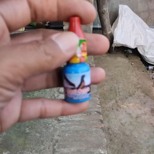 anti serak obat pernafasan untuk kenari dan ocehan