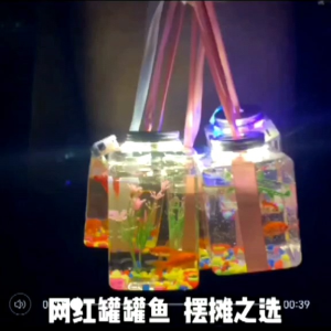 (Ready Stock) Popular Small Fish Tank 网红罐罐鱼