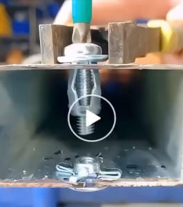 Jack Anchor Dynabolt Rivet Nut + Skrup M5x25