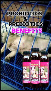 K-9 Super Pets Fuel probiotics prebioticsvitamins & minerals