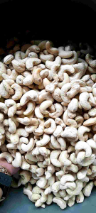 KACANG METE MEDE MENTAH FRESH 1KG