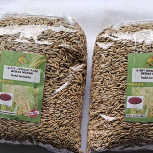 jual benih padi beras merah perbungkus 1kg asli  mudah perawatan tahan roboh umur padi masa panen sekitar 100hari  super unggul j