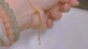 สร้อยข้อมือ รูดหัวเสือ เพชรหัวเสือแลส สวยงาม ใส่ออกงาน พร้อมส่งซื้อ