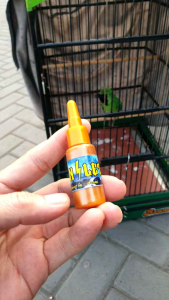 KONSLET vitamin lomba cucak hijau dan murai batu biar KONSLET bongkar2 lagunya stamina energy strong kuat main beberapa sesi