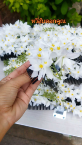 เปลี่ยนแปลงการใช้งานหวีสับดอกคูณ หวีสับดอกไม้นางรำ ฟ้อนรำ หวีดอกไม้ประดับผม ไม่อนุญาตให้นำรูปไปใช้