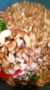 kacang mete patahan matang original 1kg