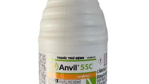 thuốc trừ bệnh cây trồng ANVIL Chai 100ml  5SC  trừ bệnh rỉ sắt vàng lá phấn trắng đốm đen đen thân khô cành ghẻ loét nám quả